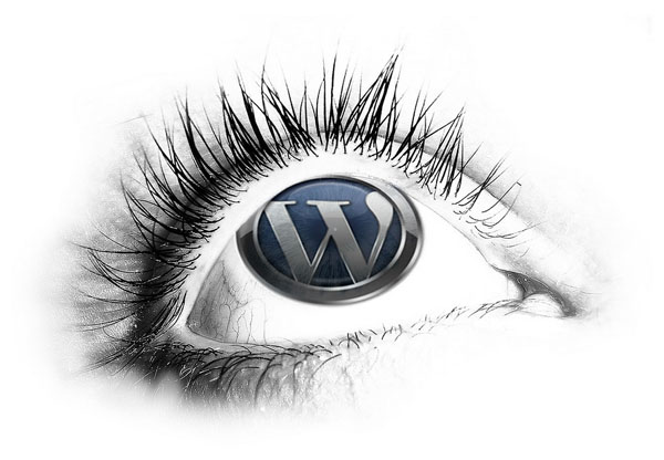 wordpress tutorial