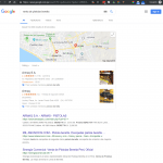 Google Ads vs Google Orgánico