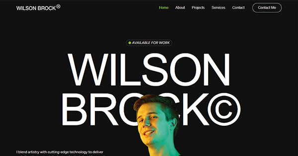 Portafolio de diseñadores web