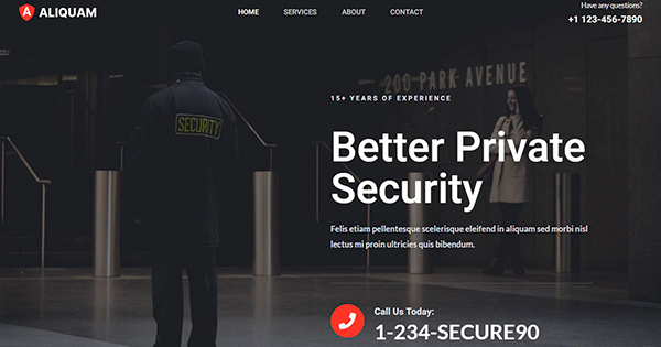 Servicios de seguridad